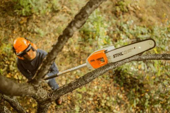 Stihl hta 65 actie 2