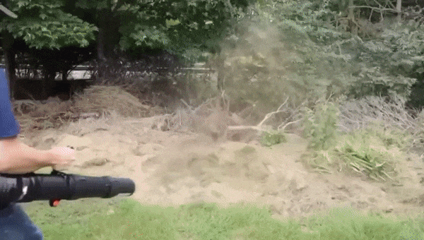 ECHO PB-8010 Ruggedragen bladblazer GIF2