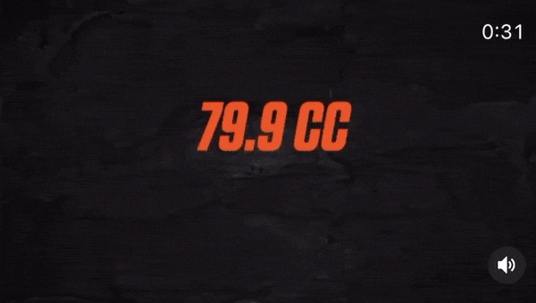 ECHO PB-8010 Ruggedragen bladblazer GIF3