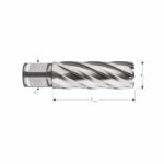 Eggenberg HSS Kernboor Weldon 19 – 17×55 mm